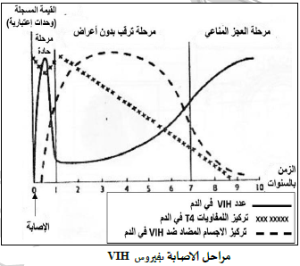 الملخص VIH مراحل الاصابة بفيروس